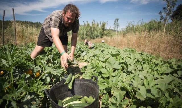 Nasce DeCollserola: a marca de alimentos Km0 dos agricultores e artesãos das montanhas de Barcelona