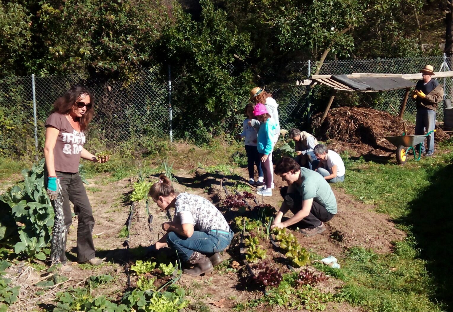 A nova horta comunitária de Sarrià busca impulso através do micromecenato